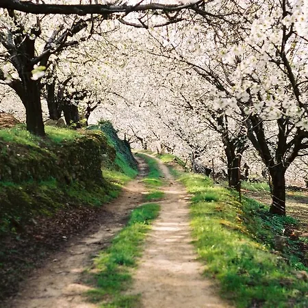 아파트 Dacris 젤티