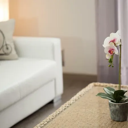 דירה Dacris חרטה