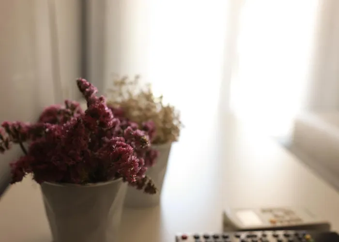 Διαμέρισμα Dacris *