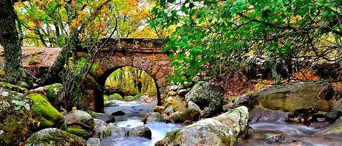 Apartamento Dacris *