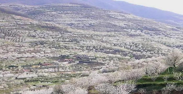 Dacris Apartamento *