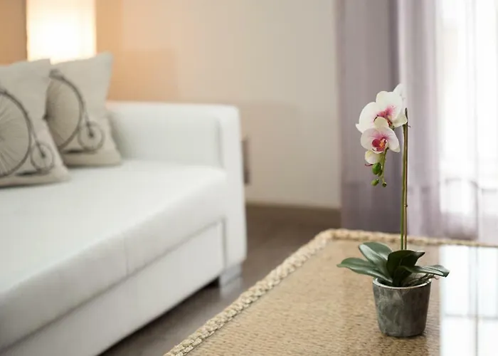 Διαμέρισμα Dacris Jerte